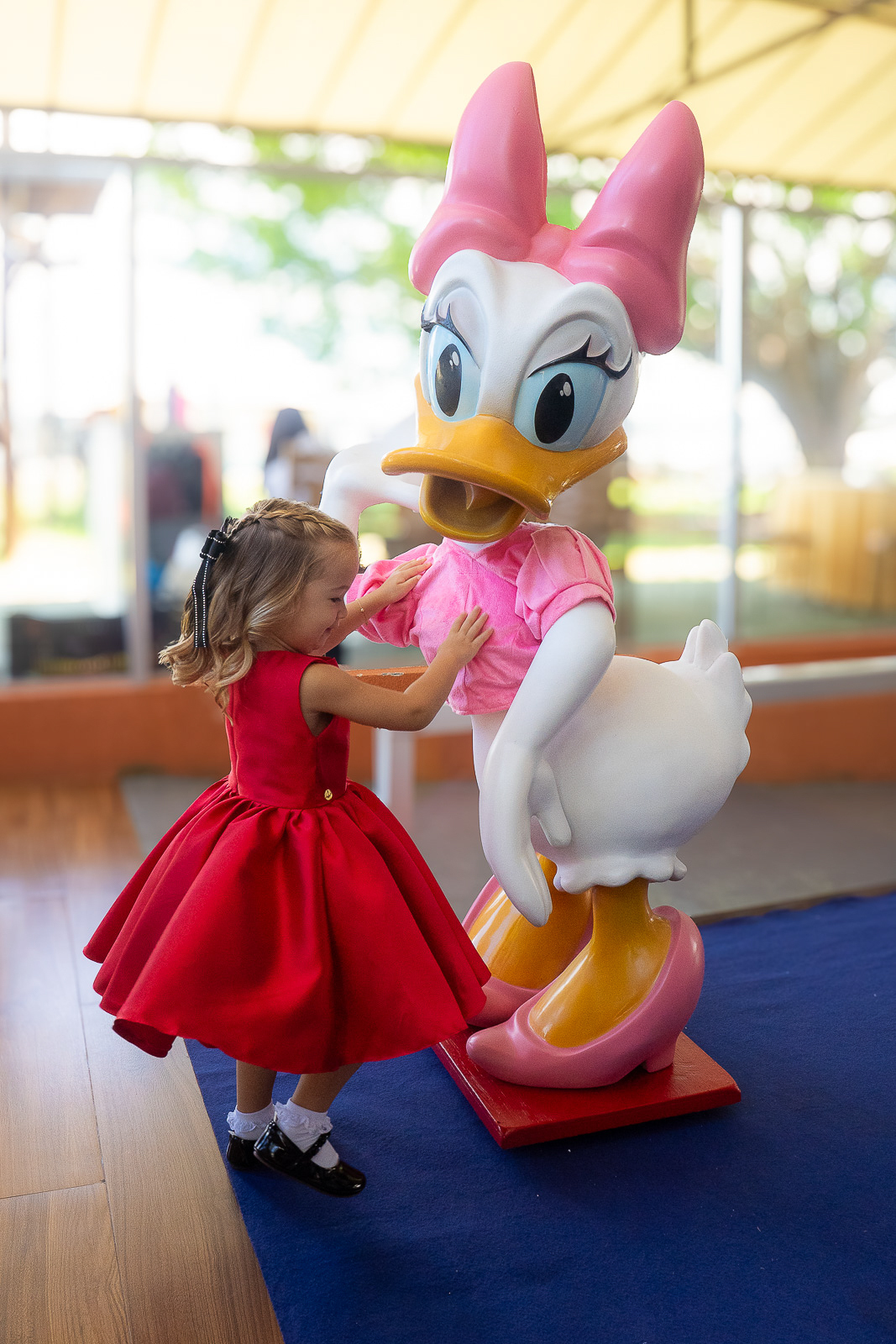 pato donald e maria
