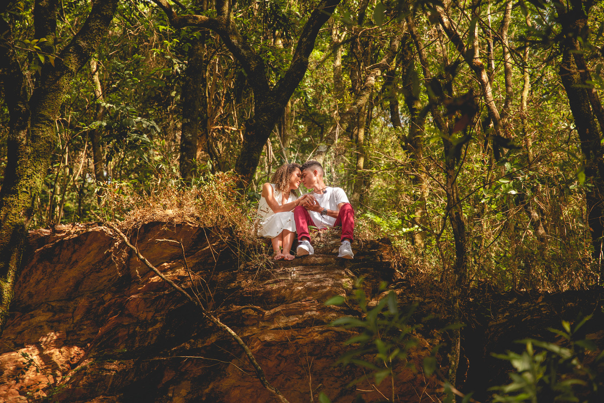 parque da mangabeiras