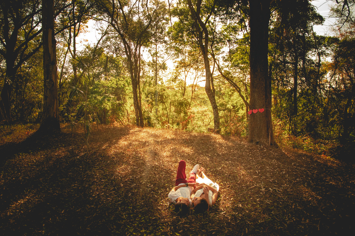 parque da mangabeiras