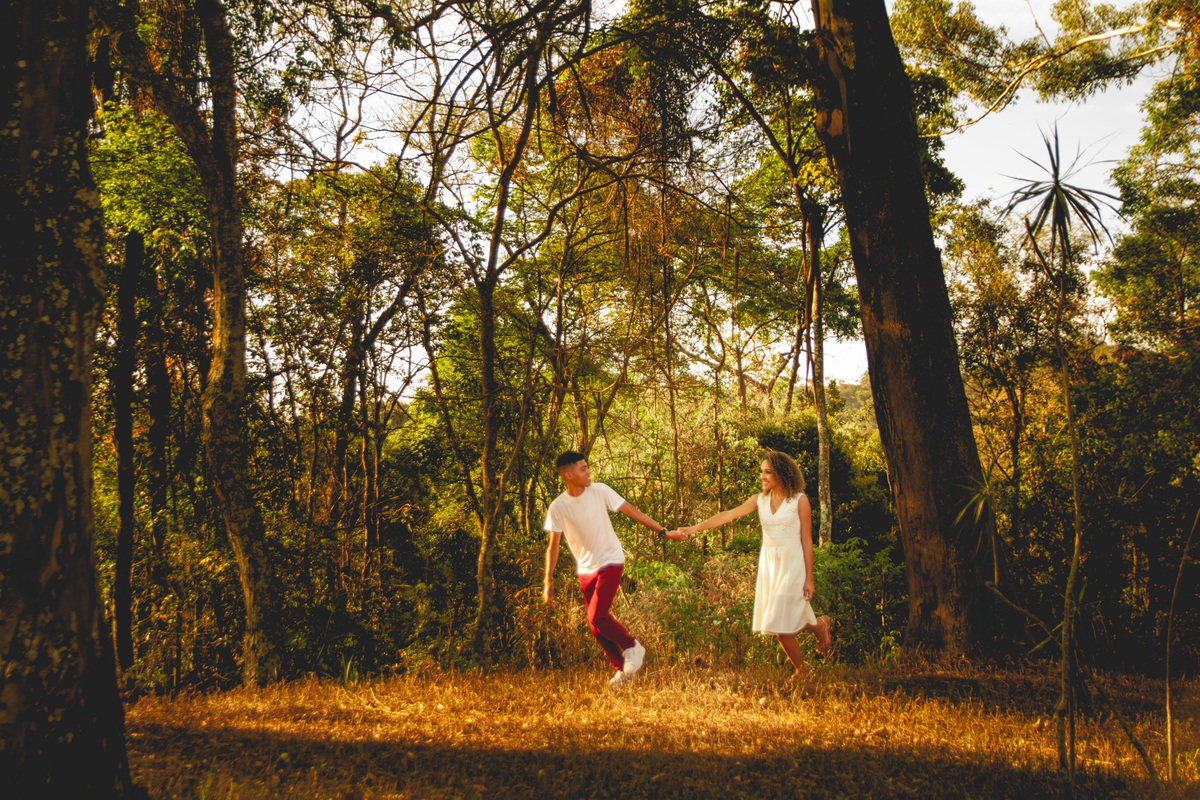 parque da mangabeiras