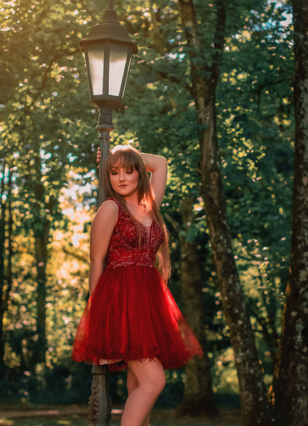  ⚜️ Book de 15 Anos ⚜️