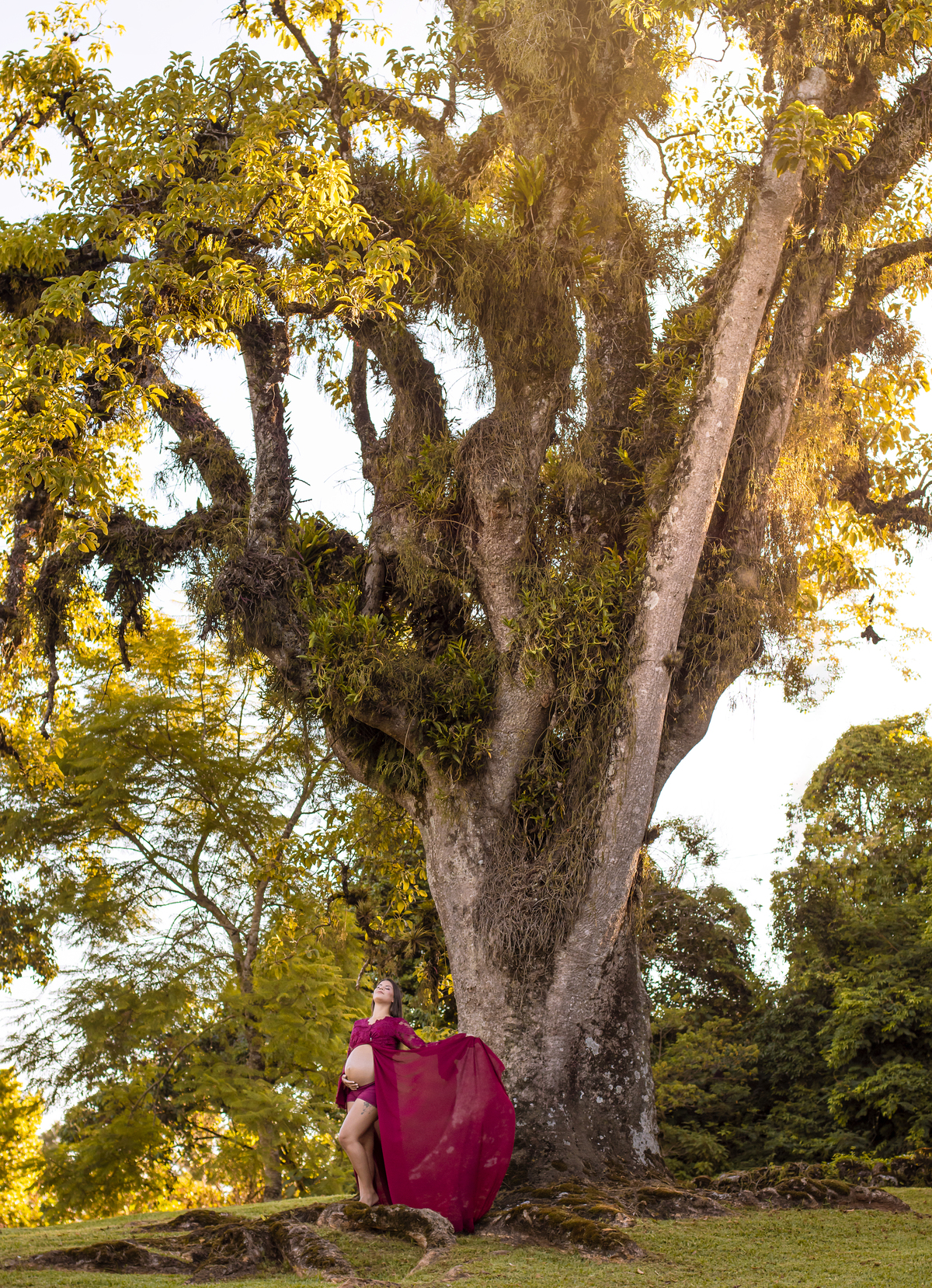 A espera da Sofia ❤️