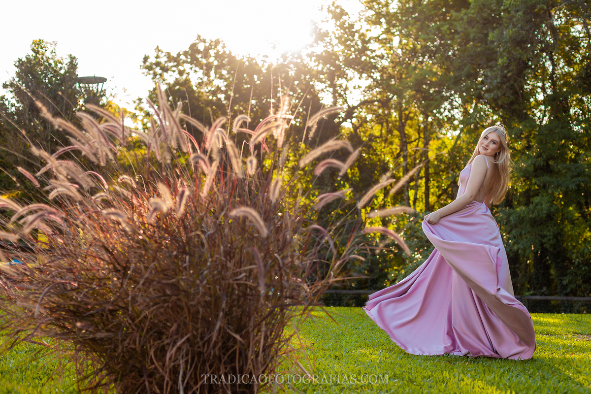 fotos de 15 anos com vestido