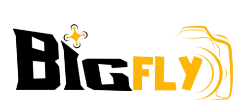 Logotipo de BigFly Films