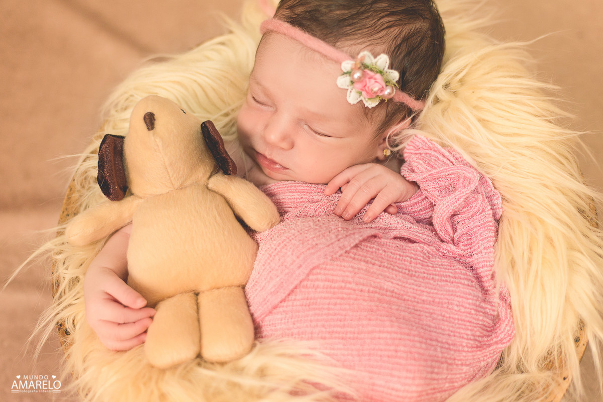 detalhe do cachorrinho registrado por Mundo Amarelo