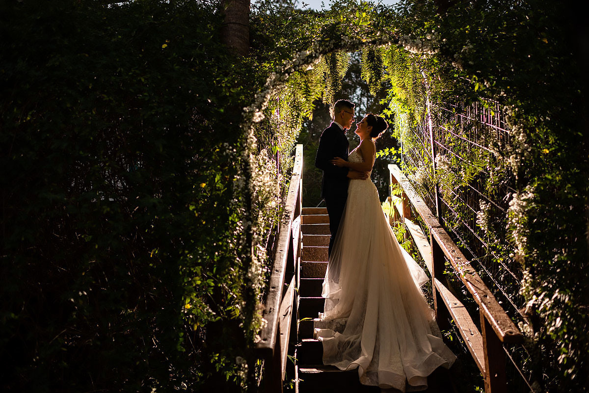 fotos dos noivos ao entardecer no alto das palmeiras