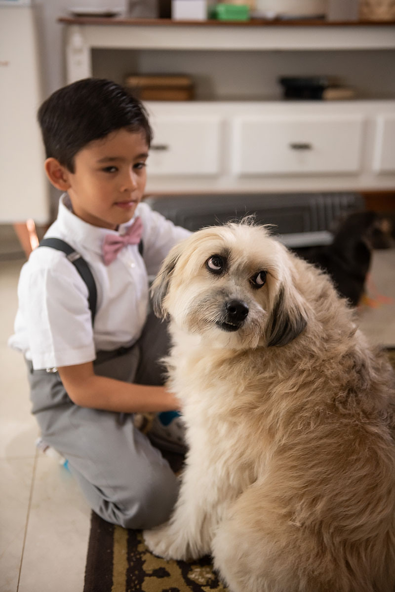 Casamento de meninos, fazenda Santa Isabel, casamento no campo, making of, cão dos noivos.