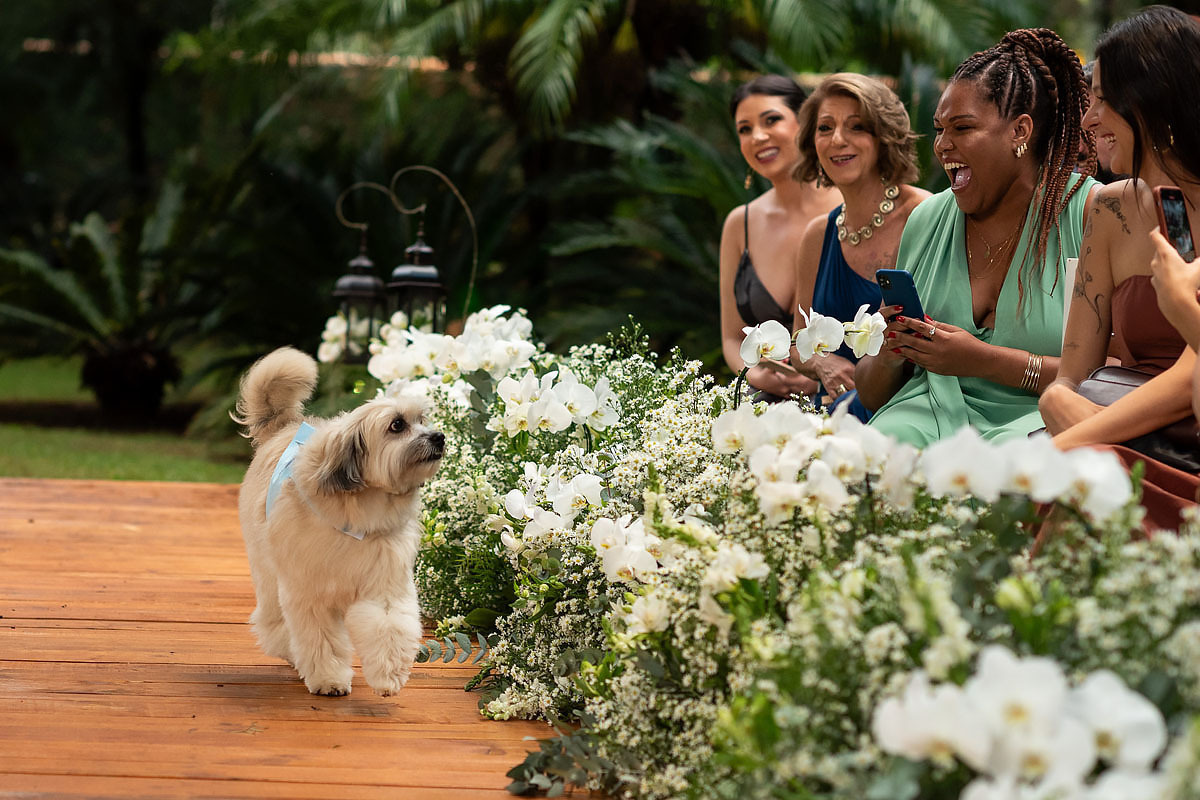 Casamento de meninos, fazenda Santa Isabel, casamento no campo, casamento com chuva, entrada dos cães com a aliança.