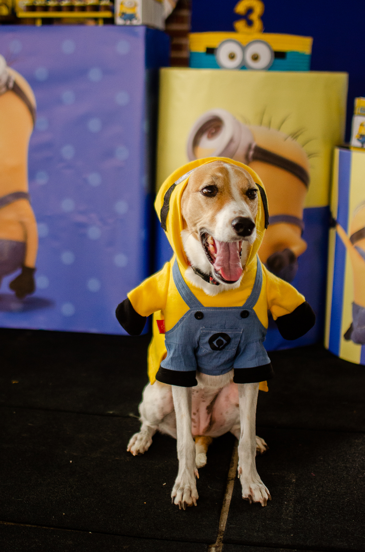 aniversario minions, tema minions, vila do brincar natal rn, natal rn, aniversario infantil em natal, aniversario infantil minions, mae de menino, tema de aniversario para menino