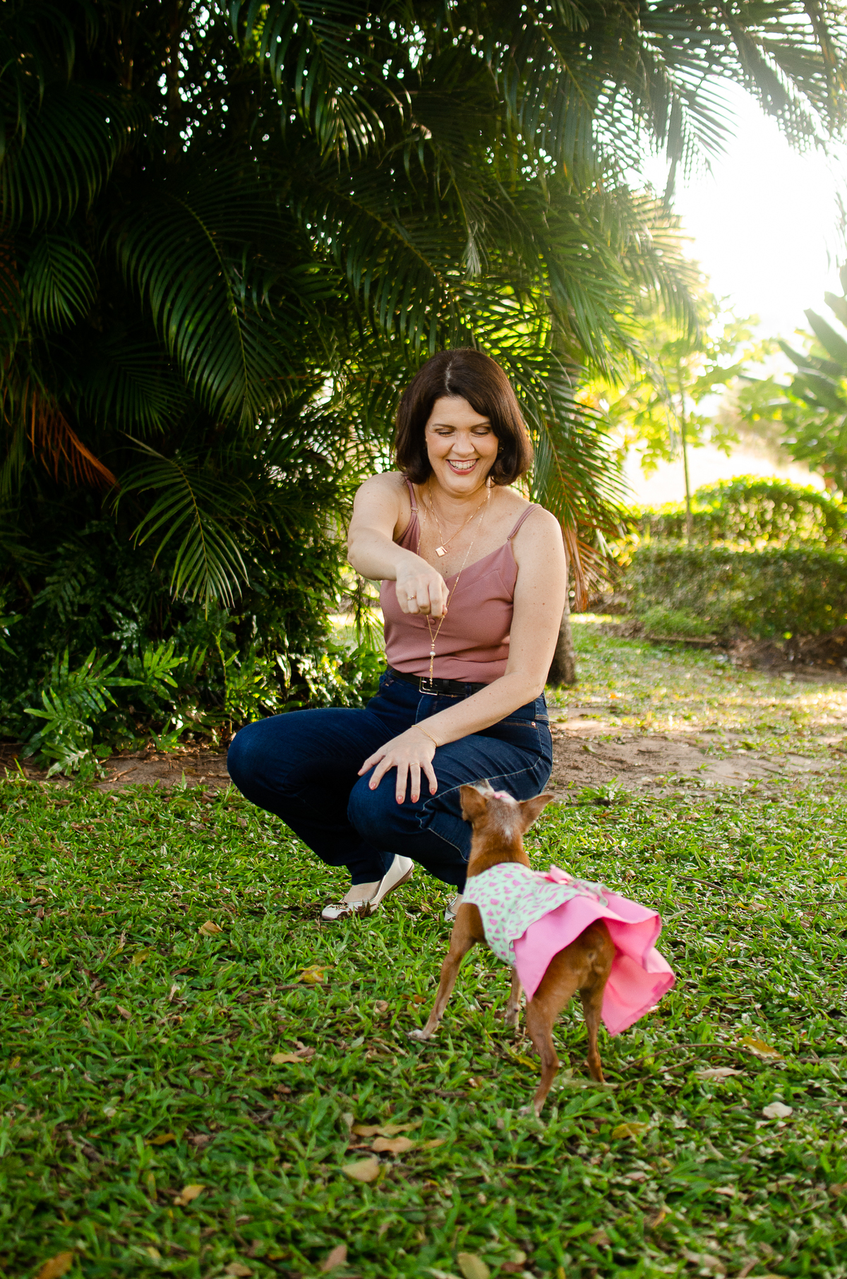 ensaio pet em natal, cachorro, fotografia de animais, fotografia pet em natal rn, fotografa pet, fotografa de cachorro, natal rn, pet idoso