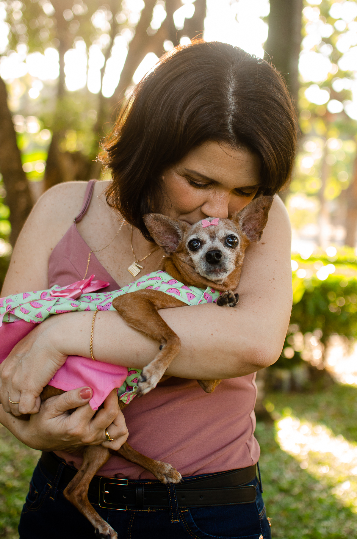 ensaio pet em natal, cachorro, fotografia de animais, fotografia pet em natal rn, fotografa pet, fotografa de cachorro, natal rn, pet idoso