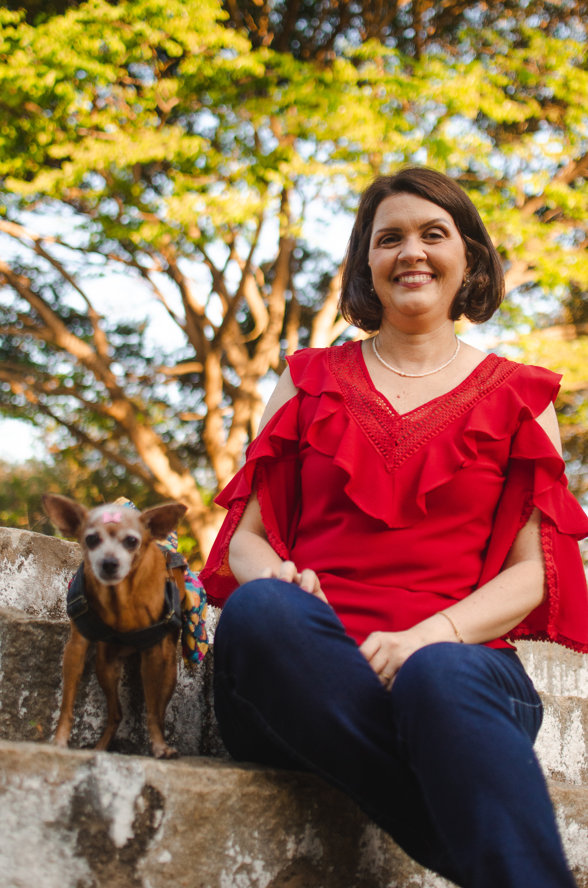 ensaio pet em natal, cachorro, fotografia de animais, fotografia pet em natal rn, fotografa pet, fotografa de cachorro, natal rn, pet idoso