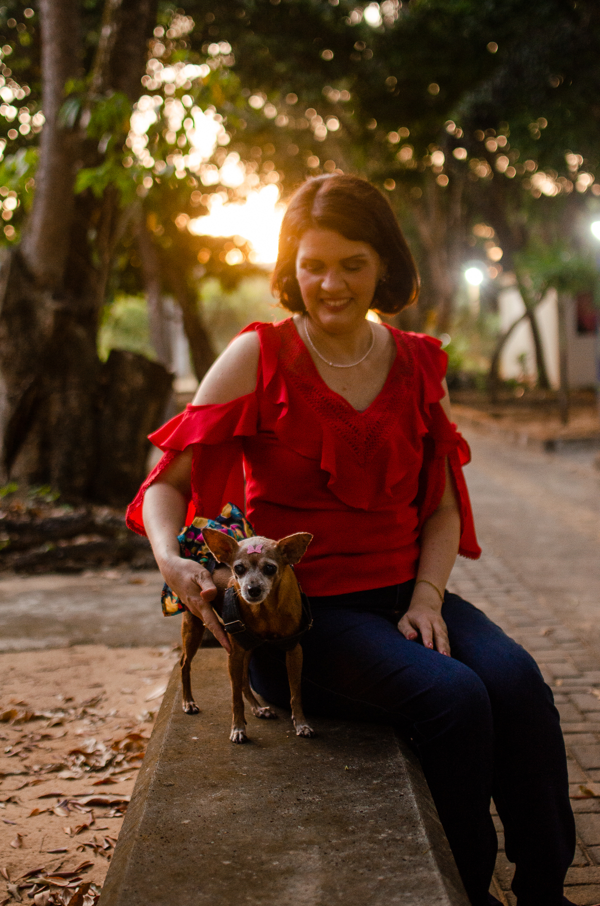 ensaio pet em natal, cachorro, fotografia de animais, fotografia pet em natal rn, fotografa pet, fotografa de cachorro, natal rn, pet idoso