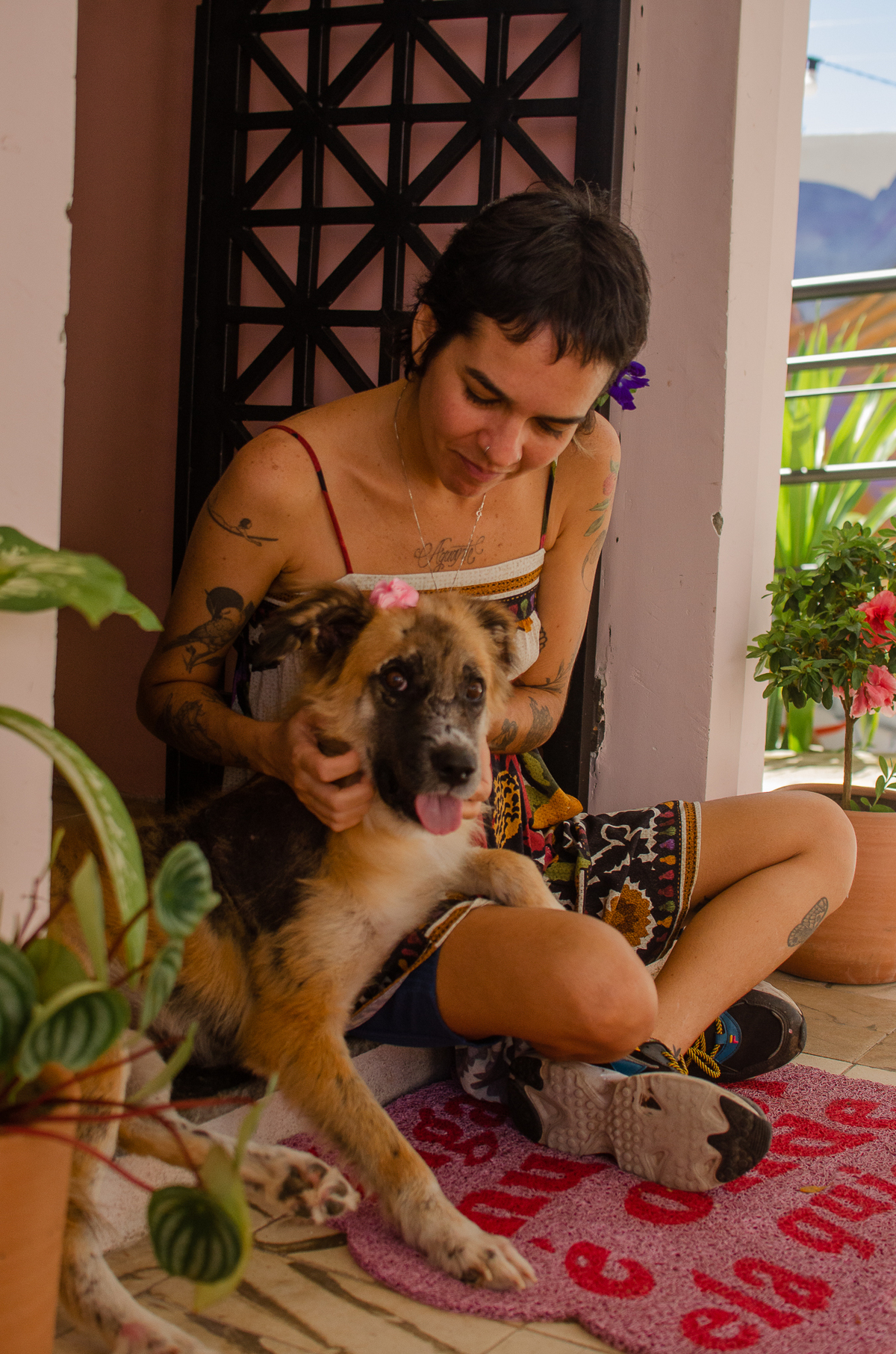 ensaio pet em natal, cachorro, fotografia de animais, fotografia pet em natal rn, fotografa pet, fotografa de cachorro, natal rn, adote um amor, goodala burguer