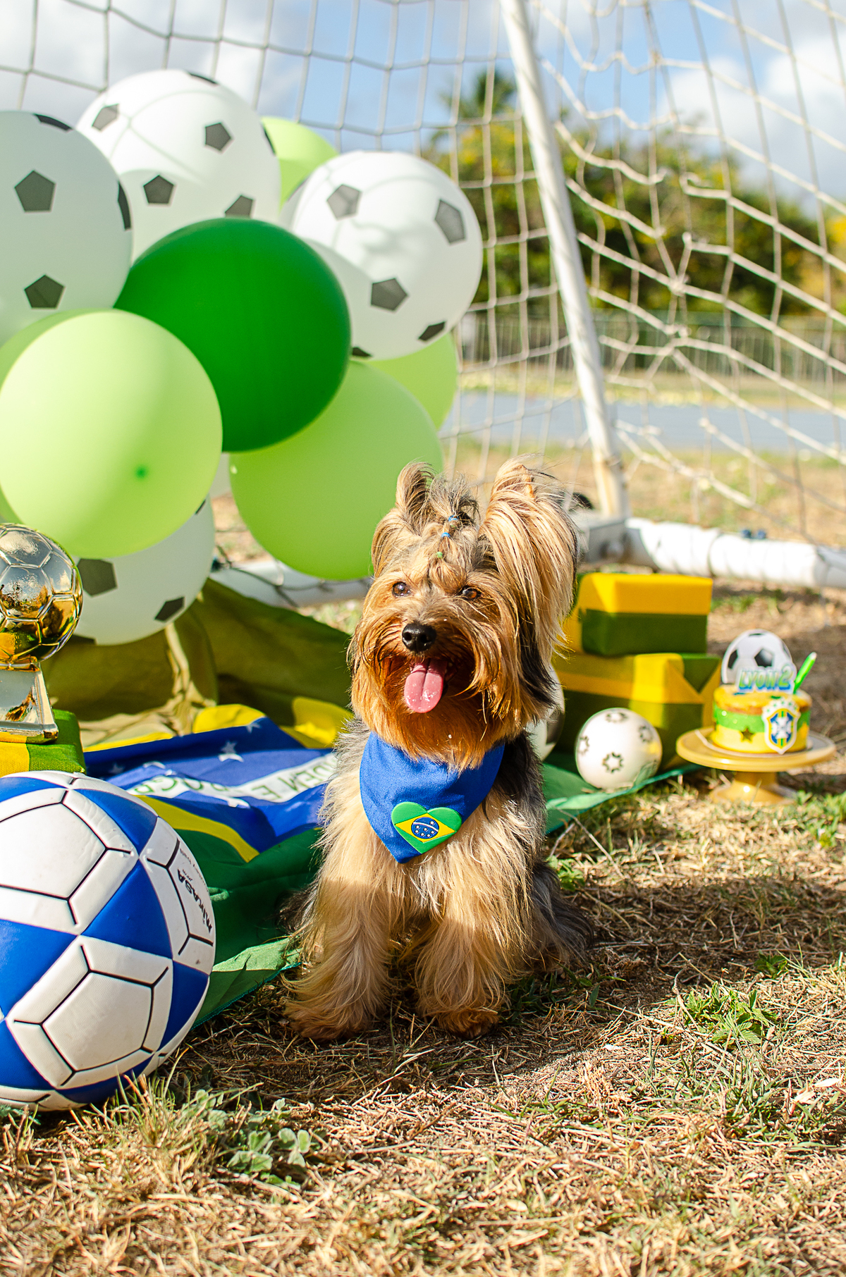 aniversario pet, festa pet, fotografia pet em natal, ufrn