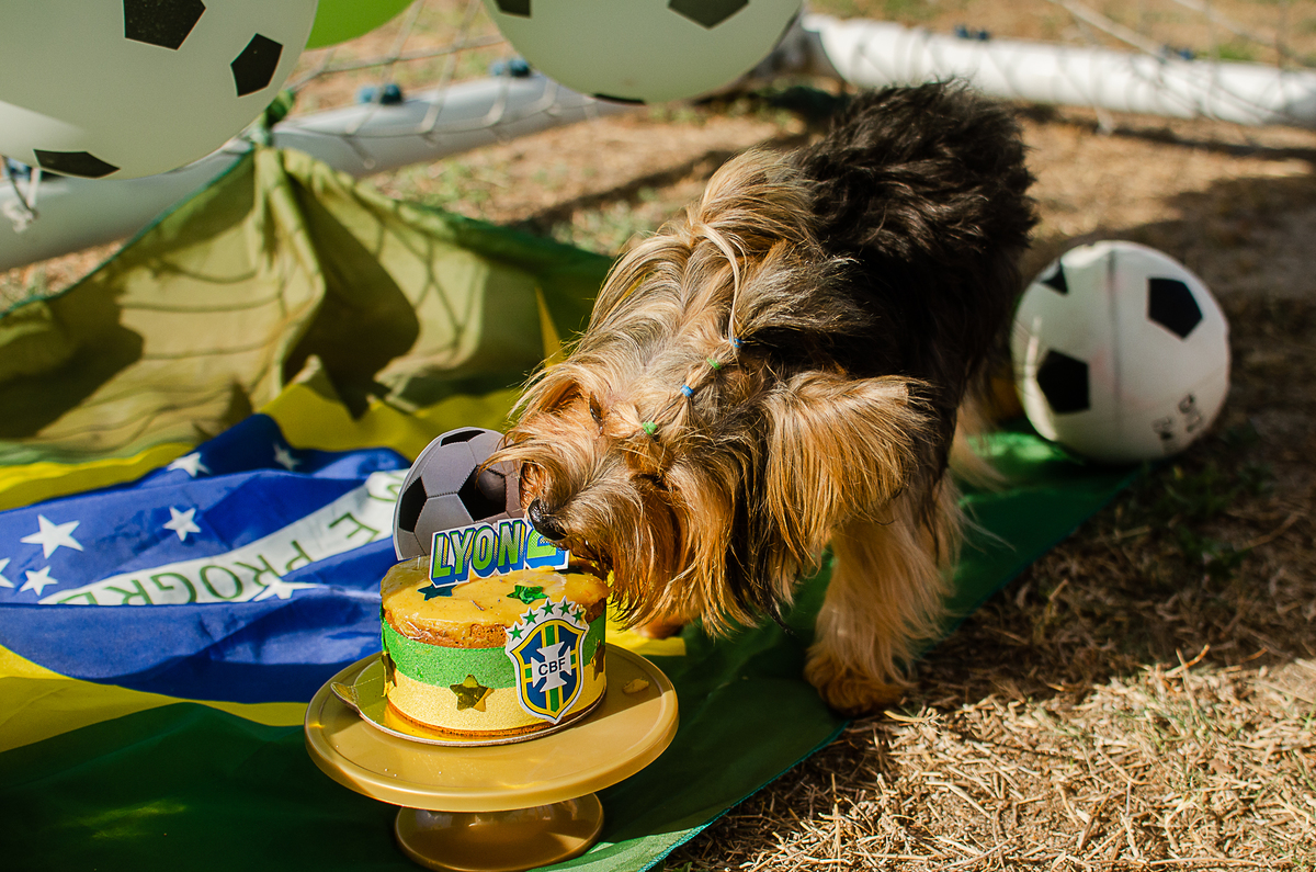 aniversario pet, festa pet, fotografia pet em natal, ufrn