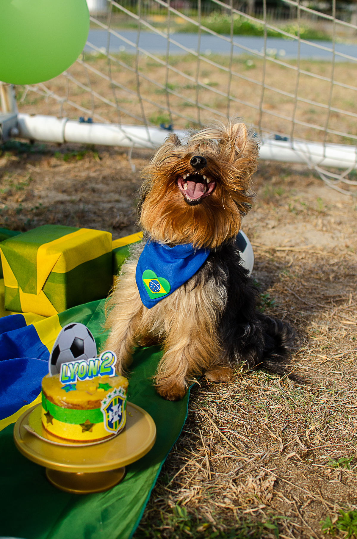 aniversario pet, festa pet, fotografia pet em natal, ufrn