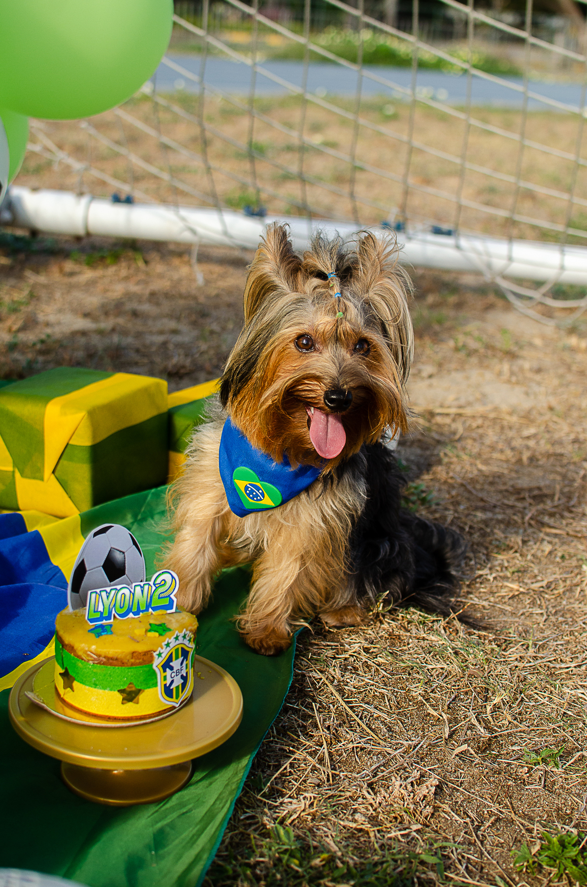 aniversario pet, festa pet, fotografia pet em natal, ufrn