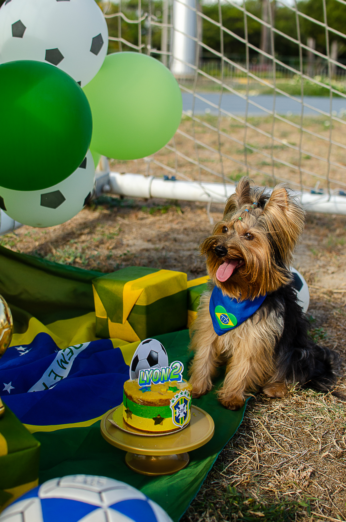 aniversario pet, festa pet, fotografia pet em natal, ufrn