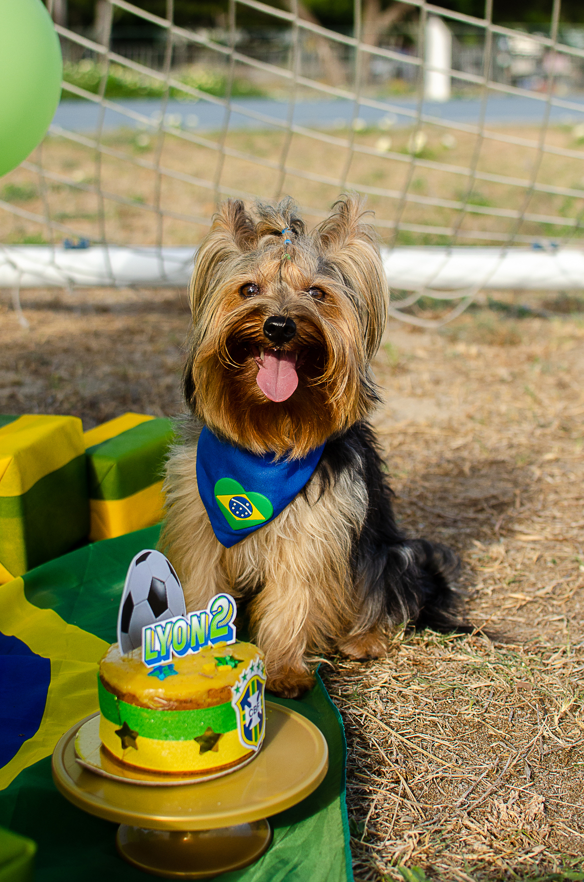 aniversario pet, festa pet, fotografia pet em natal, ufrn