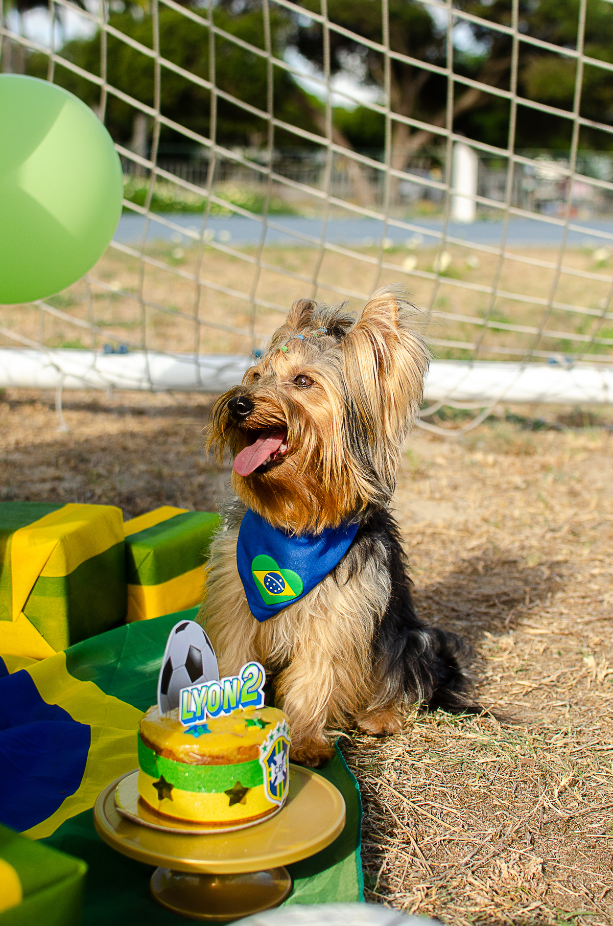 aniversario pet, festa pet, fotografia pet em natal, ufrn