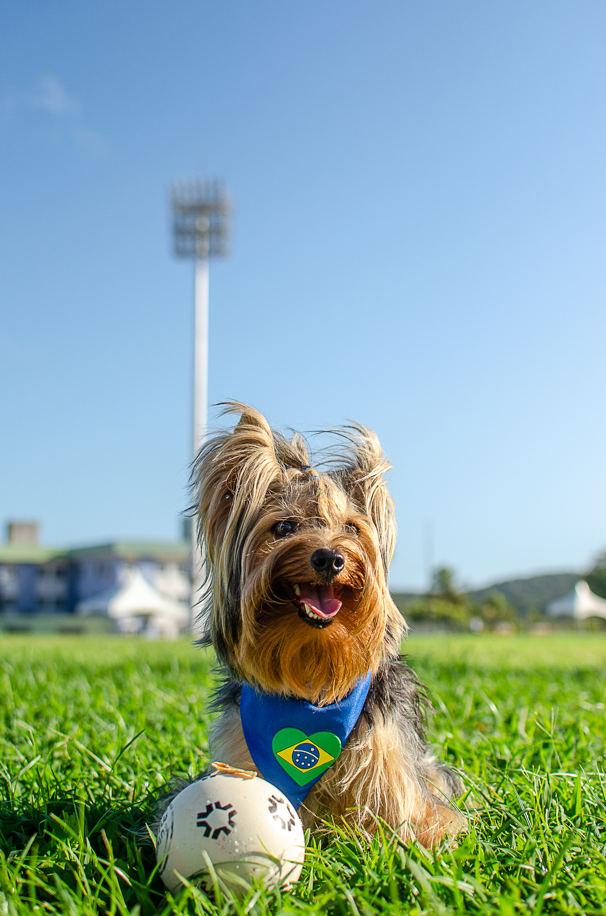 aniversario pet, festa pet, fotografia pet em natal, ufrn