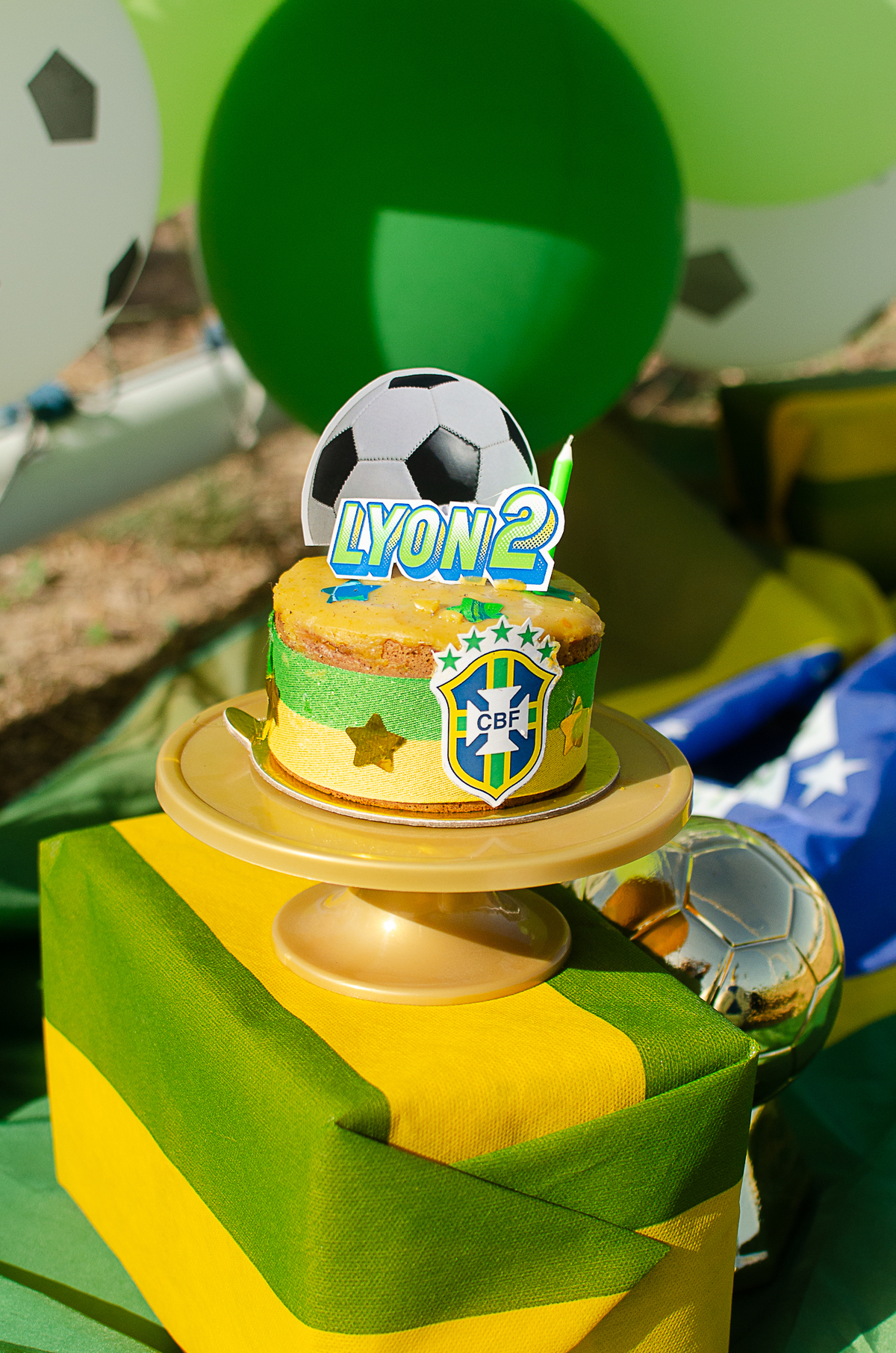 aniversario pet, festa pet, fotografia pet em natal, ufrn