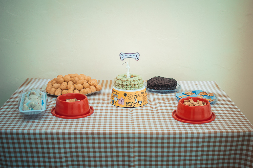 Ensaio Pet em Natal/RN, Fotografia Pet em Natal/RN, Aniversário Pet em Natal/RN