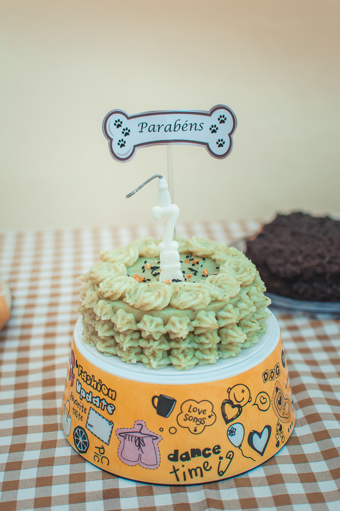 Ensaio Pet em Natal/RN, Fotografia Pet em Natal/RN, Aniversário Pet em Natal/RN