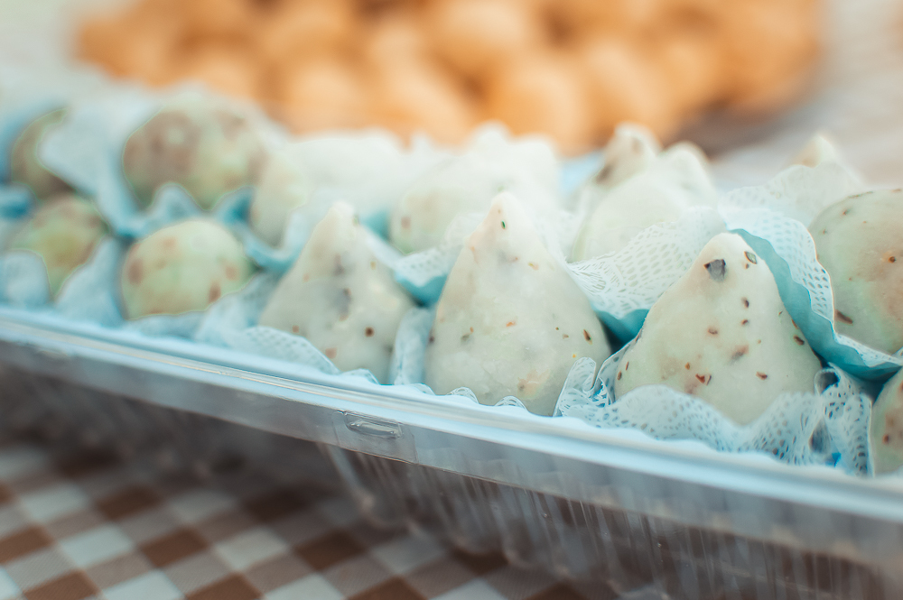 Ensaio Pet em Natal/RN, Fotografia Pet em Natal/RN, Aniversário Pet em Natal/RN