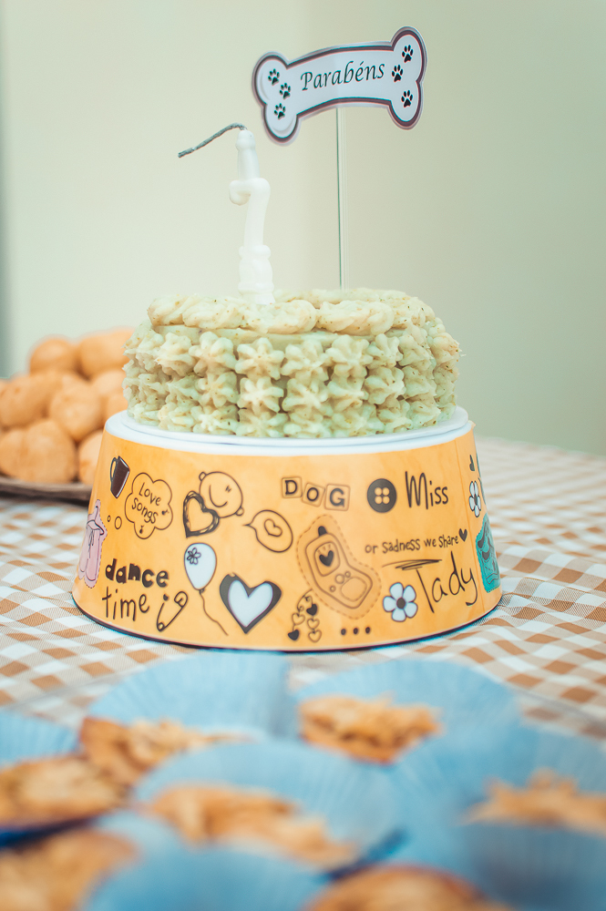 Ensaio Pet em Natal/RN, Fotografia Pet em Natal/RN, Aniversário Pet em Natal/RN