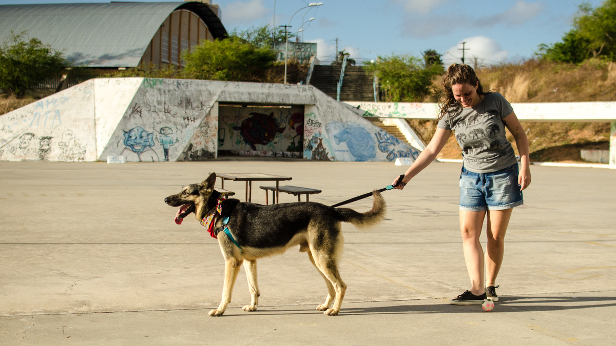 Ensaio Pet em Natal/RN, Fotografia Pet em Natal/RN, Fotografia para marcas pet em Natal/RN