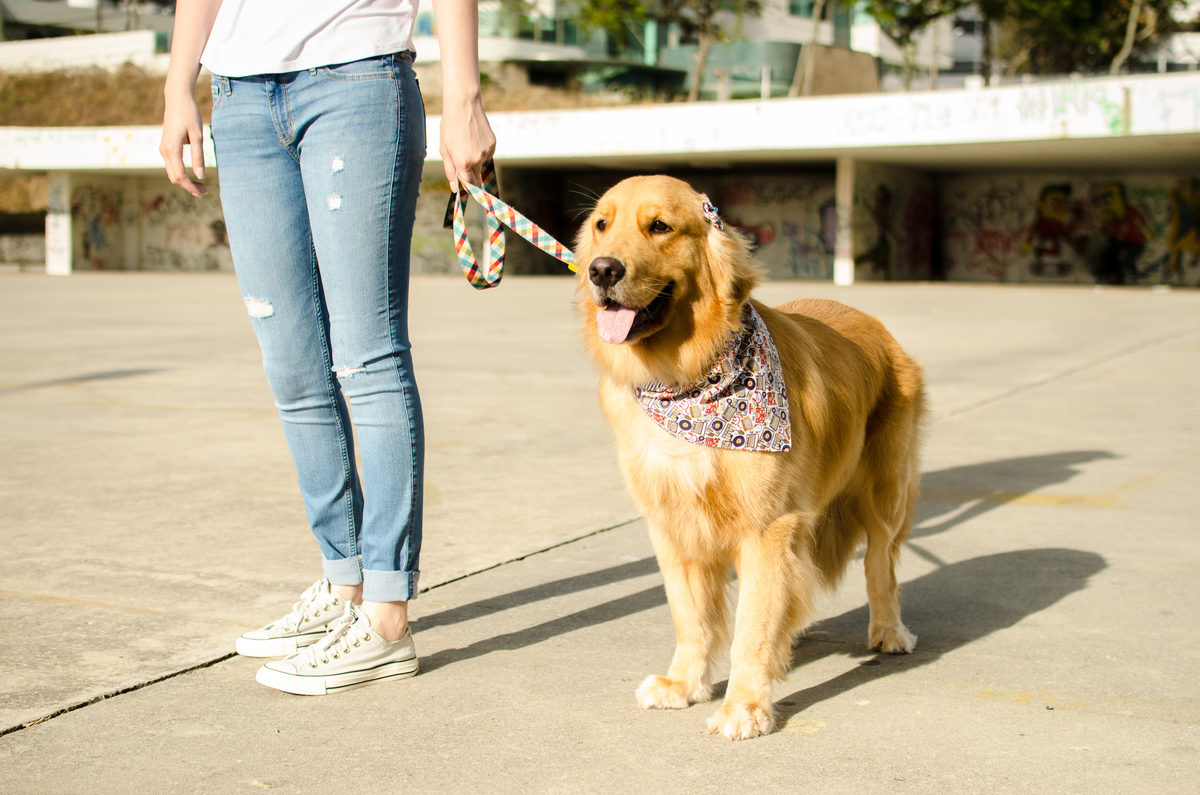 Ensaio Pet em Natal/RN, Fotografia Pet em Natal/RN, Fotografia para marcas pet em Natal/RN