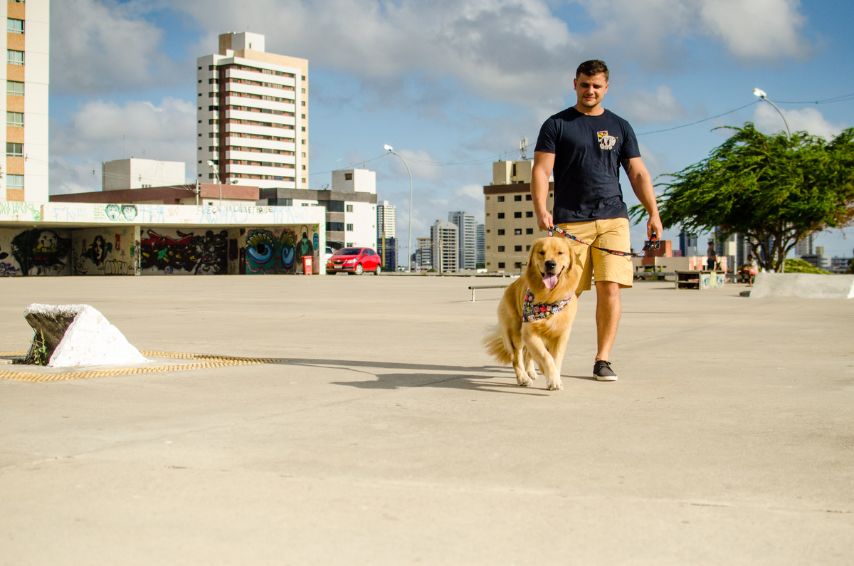 Ensaio Pet em Natal/RN, Fotografia Pet em Natal/RN, Fotografia para marcas pet em Natal/RN