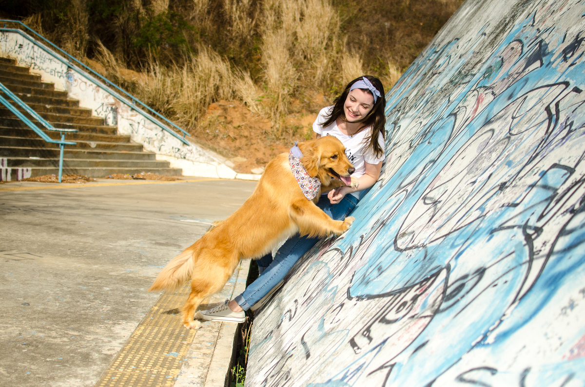 Ensaio Pet em Natal/RN, Fotografia Pet em Natal/RN, Fotografia para marcas pet em Natal/RN