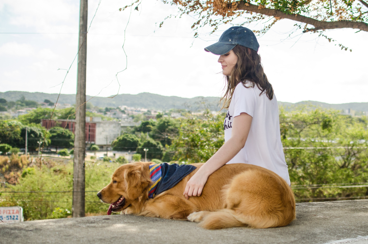 Ensaio Pet em Natal/RN, Fotografia Pet em Natal/RN, Fotografia para marcas pet em Natal/RN