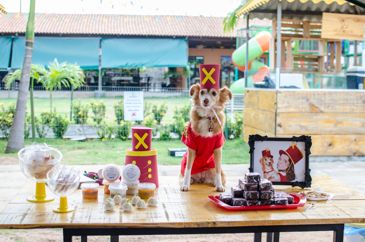 Ensaio Pet em Natal/RN, Fotografia Pet em Natal/RN, Aniversário Pet em Natal/RN