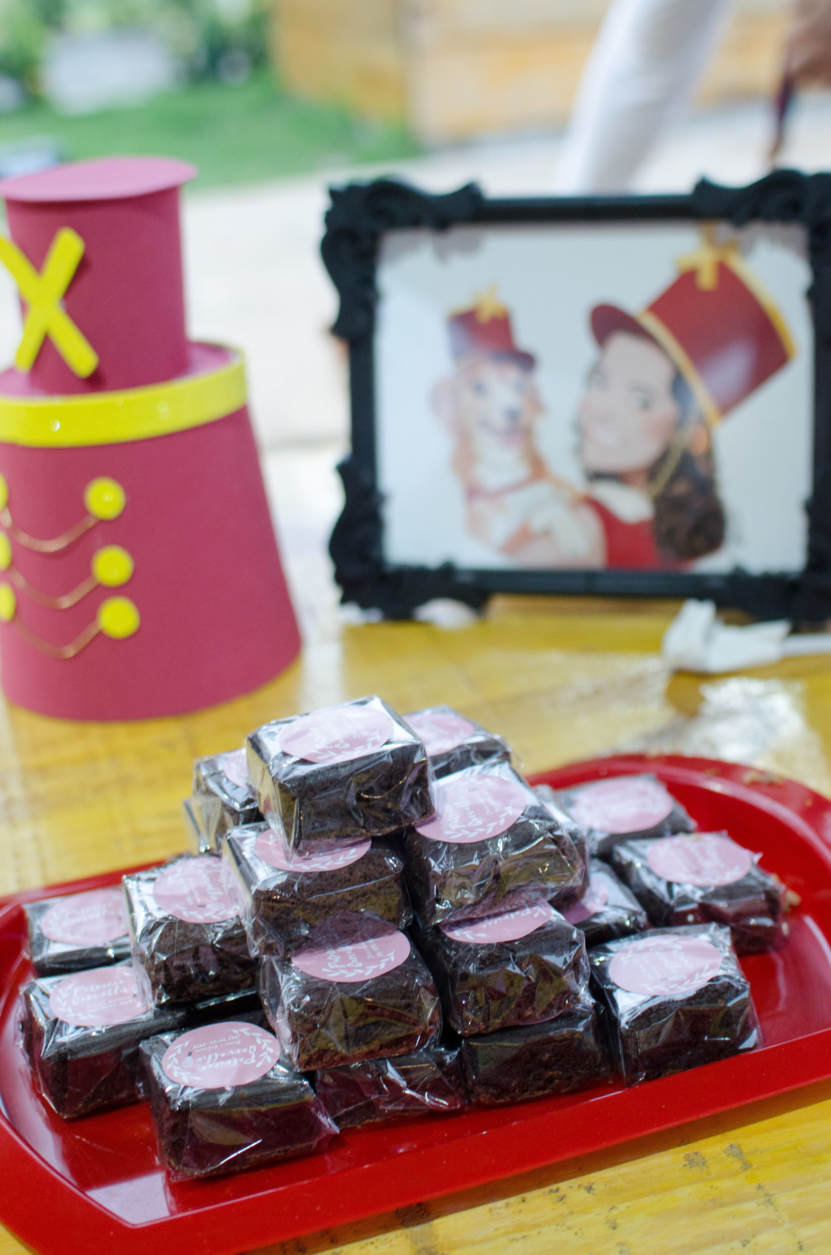 Ensaio Pet em Natal/RN, Fotografia Pet em Natal/RN, Aniversário Pet em Natal/RN