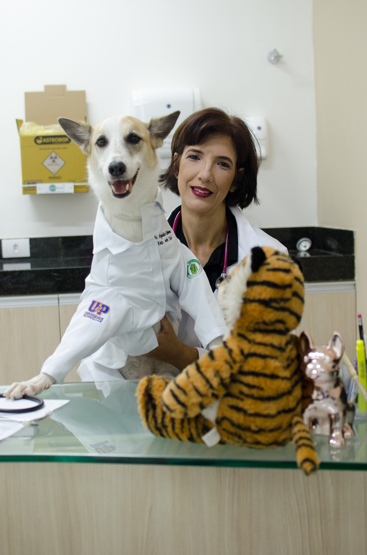 Ensaio Pet em Natal/RN, Fotografia Pet em Natal/RN