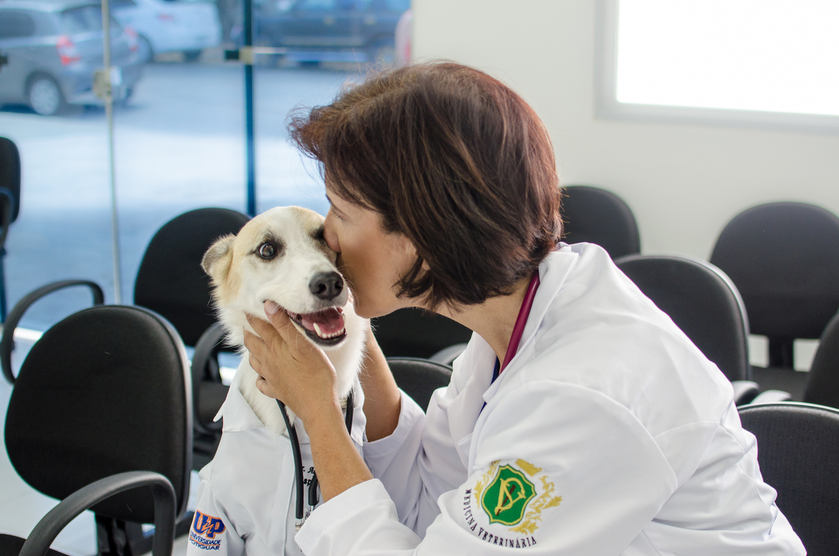 Ensaio Pet em Natal/RN, Fotografia Pet em Natal/RN