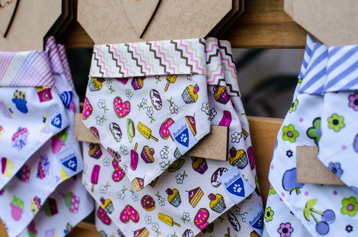 Ensaio Pet em Natal/RN, Fotografia Pet em Natal/RN, Fotografia para marcas pet em Natal/RN