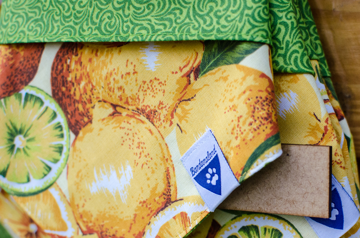 Ensaio Pet em Natal/RN, Fotografia Pet em Natal/RN, Fotografia para marcas pet em Natal/RN