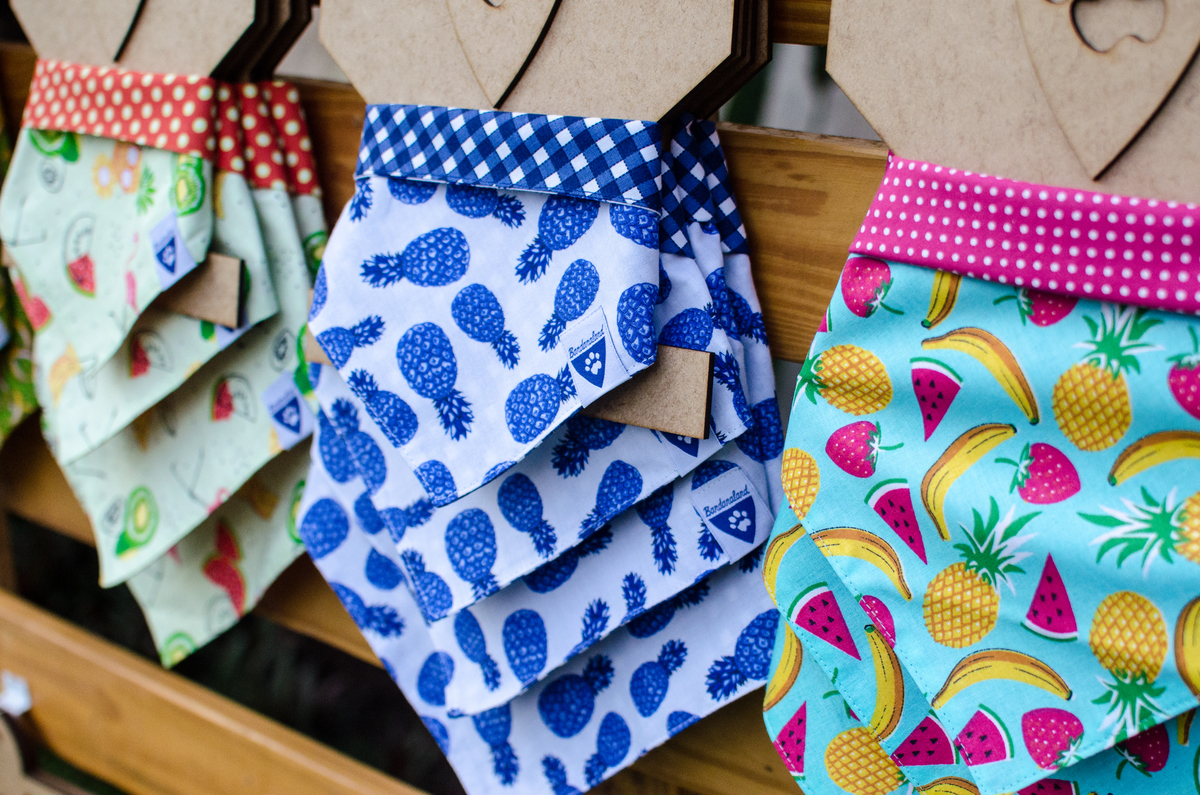 Ensaio Pet em Natal/RN, Fotografia Pet em Natal/RN, Fotografia para marcas pet em Natal/RN