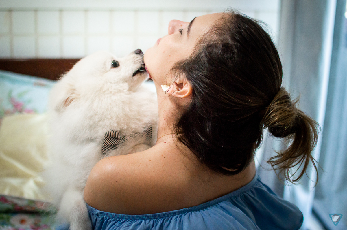 Ensaio Pet em Natal/RN, Fotografia Pet em Natal/RN, Ensaio Lifestyle em Natal/RN