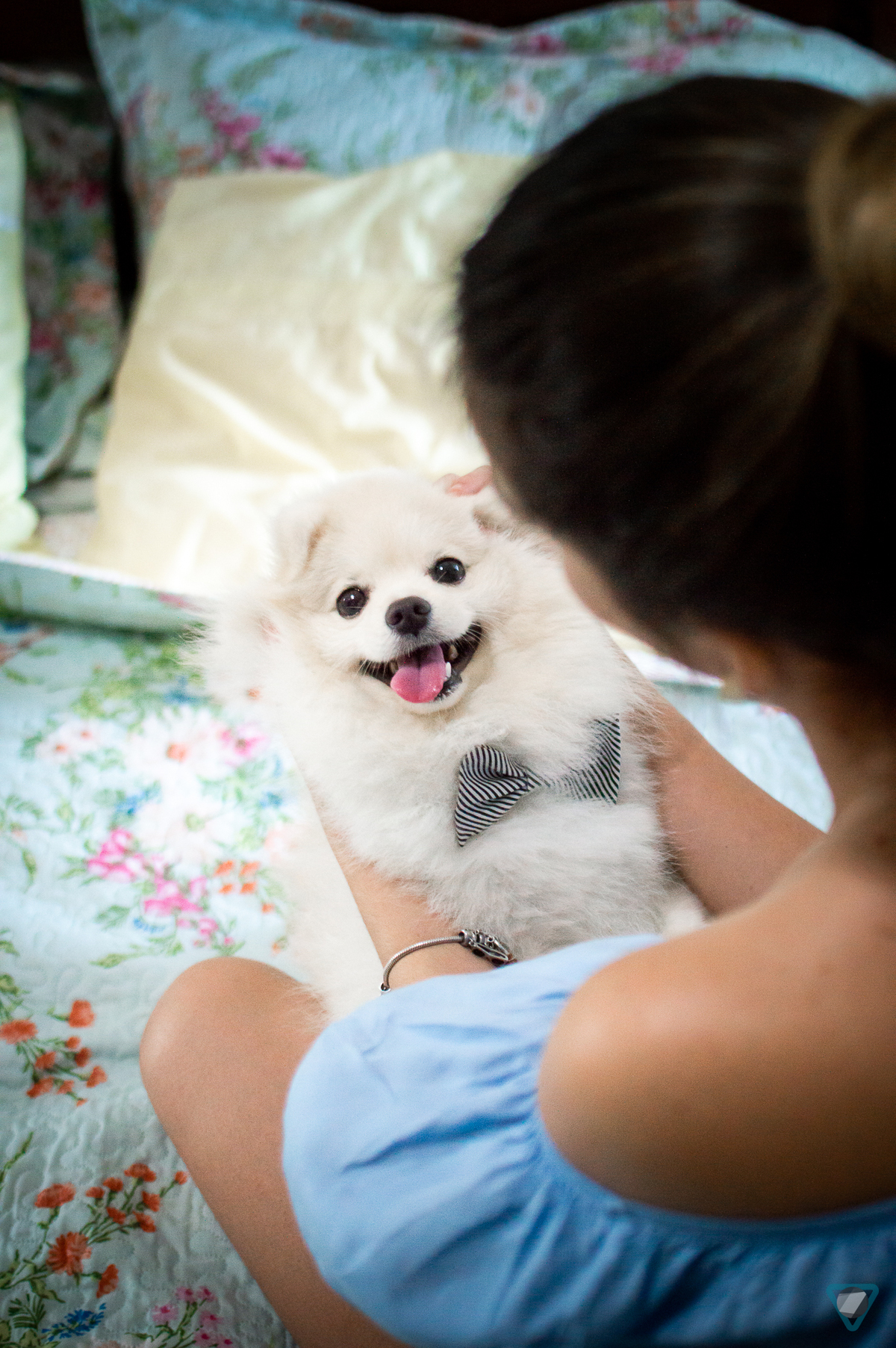 Ensaio Pet em Natal/RN, Fotografia Pet em Natal/RN, Ensaio Lifestyle em Natal/RN