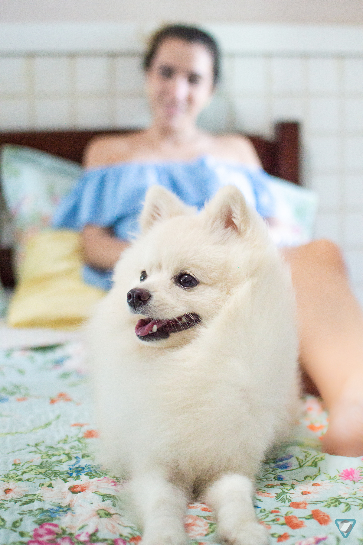 Ensaio Pet em Natal/RN, Fotografia Pet em Natal/RN, Ensaio Lifestyle em Natal/RN