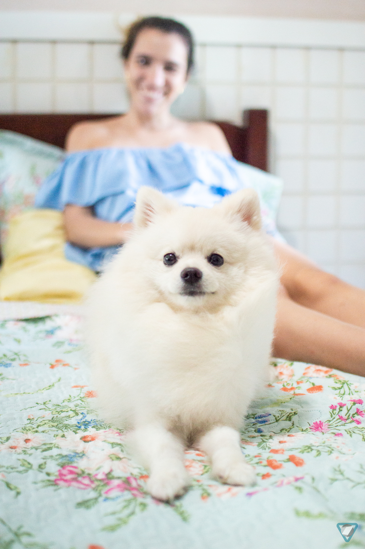 Ensaio Pet em Natal/RN, Fotografia Pet em Natal/RN, Ensaio Lifestyle em Natal/RN