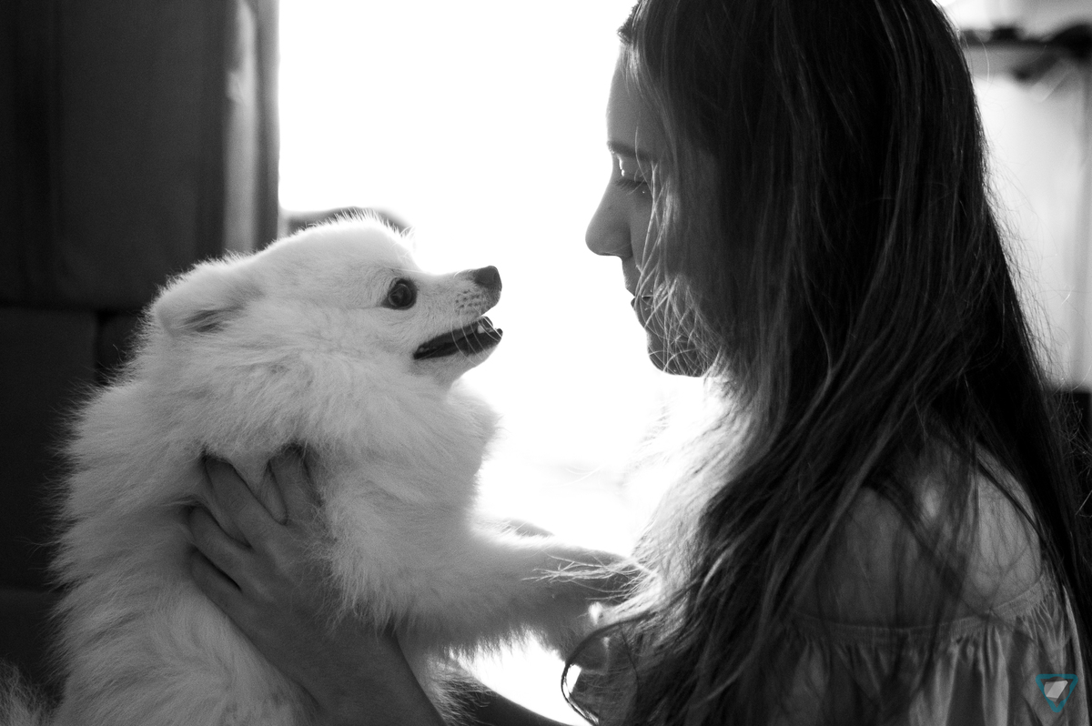 Ensaio Pet em Natal/RN, Fotografia Pet em Natal/RN, Ensaio Lifestyle em Natal/RN