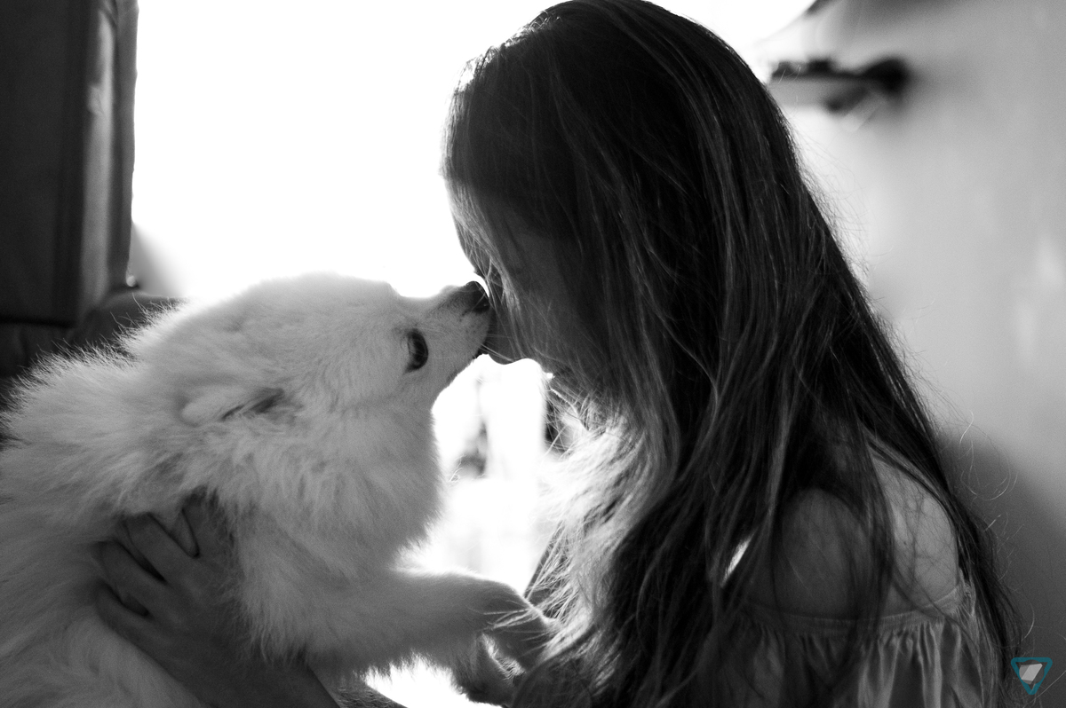 Ensaio Pet em Natal/RN, Fotografia Pet em Natal/RN, Ensaio Lifestyle em Natal/RN