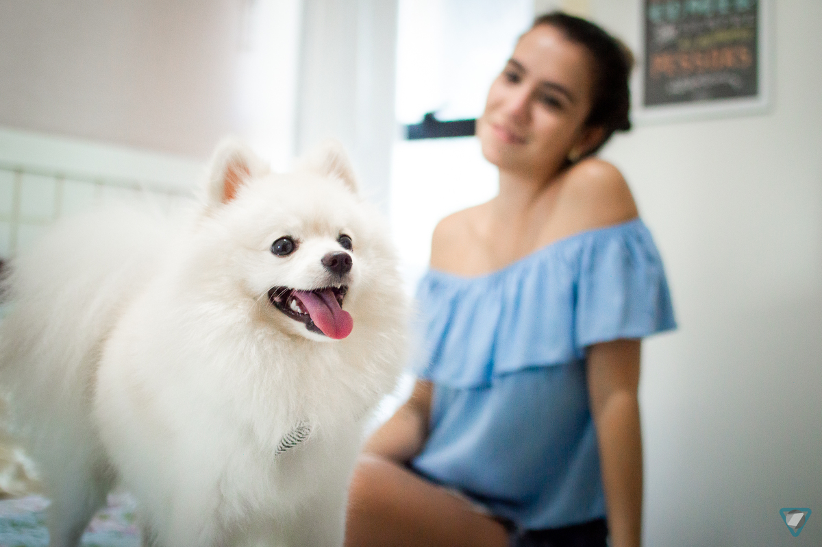 Ensaio Pet em Natal/RN, Fotografia Pet em Natal/RN, Ensaio Lifestyle em Natal/RN